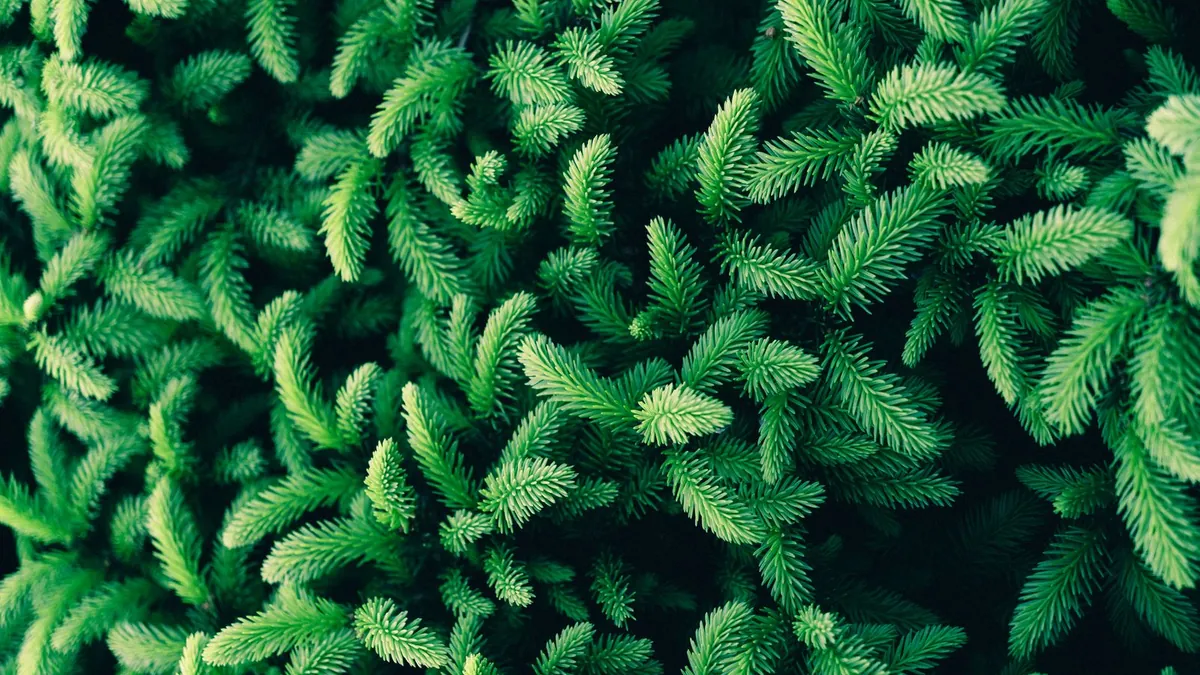 Trafic SEO durable : automatisez l'evergreen avec l'IA